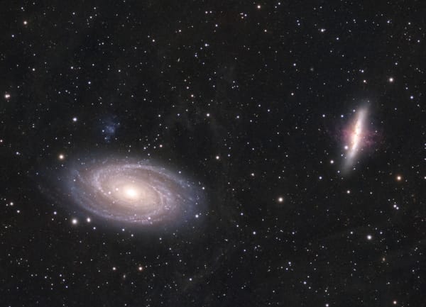 The M81 Group